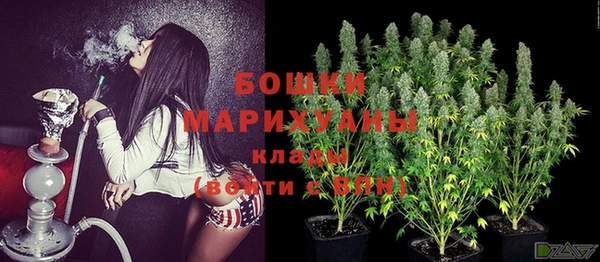 ПСИЛОЦИБИНОВЫЕ ГРИБЫ Лагань
