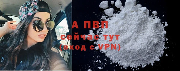 ПСИЛОЦИБИНОВЫЕ ГРИБЫ Лагань