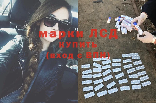 ПСИЛОЦИБИНОВЫЕ ГРИБЫ Лагань