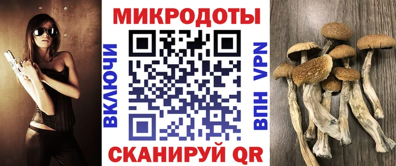 Купить где  Окуловка  Галлюциногенные грибы мицелий 